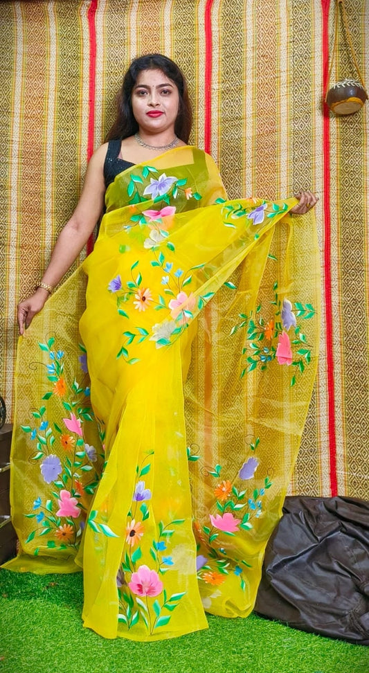 Hand Painted Multicolour Organza Saree, Bollywood Style Party Wear Indian Wedding Saree, Designer Organza Saree, Transparent Saree
