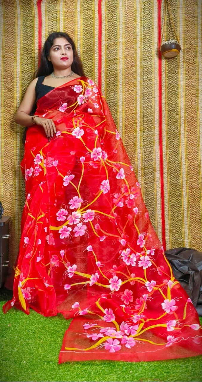 Hand Painted Organza Saree Bollywood Saree Party Wear Saree Indian Wedding Saree, Designer Organza Saree, Transparent Saree