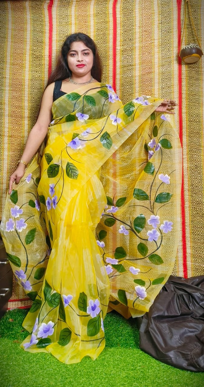 Hand Painted Organza Saree Bollywood Saree Party Wear Saree Indian Wedding Saree, Designer Organza Saree, Transparent Saree