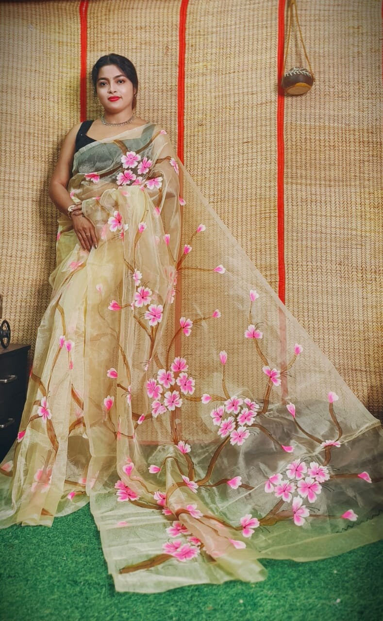 Hand Painted Multicolour Organza Saree, Bollywood Style Party Wear Indian Wedding Saree, Designer Organza Saree, Transparent Saree