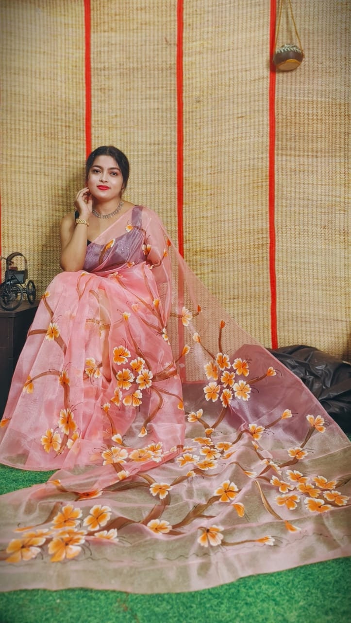 Hand Painted Organza Saree Bollywood Saree Party Wear Saree Indian Wedding Saree, Designer Organza Saree, Transparent Saree