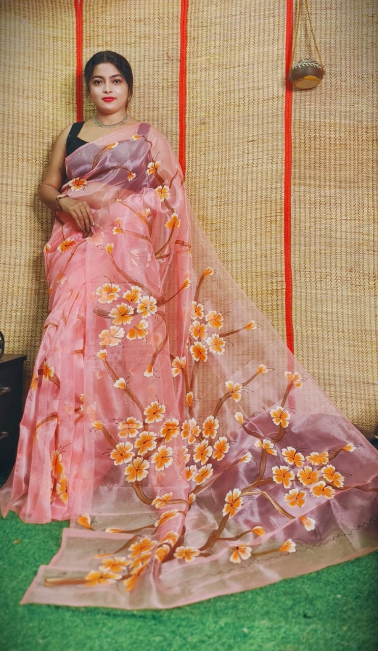 Hand Painted Organza Saree Bollywood Saree Party Wear Saree Indian Wedding Saree, Designer Organza Saree, Transparent Saree