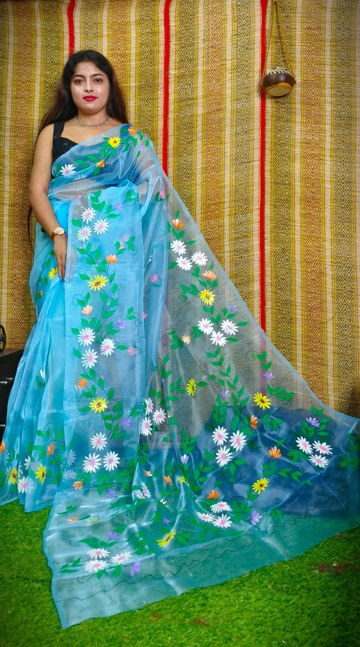 Hand Painted Organza Saree Bollywood Saree Party Wear Saree Indian Wedding Saree, Designer Organza Saree, Transparent Saree