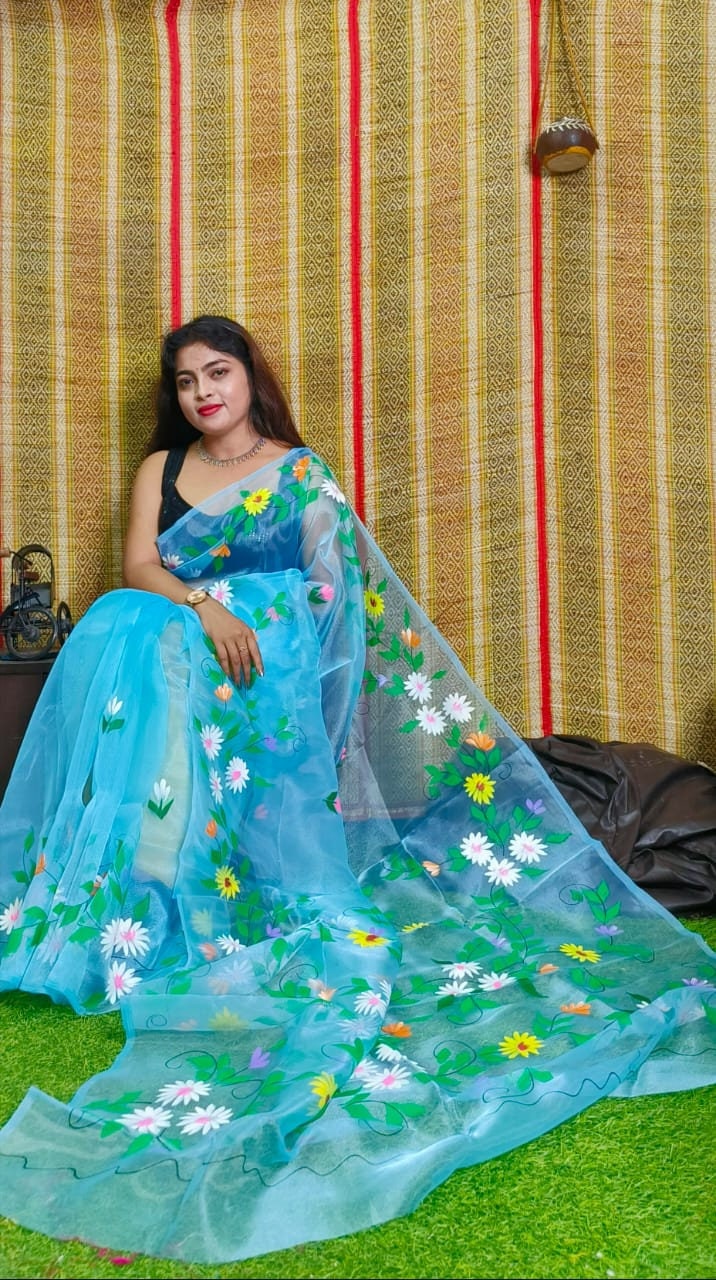 Hand Painted Organza Saree Bollywood Saree Party Wear Saree Indian Wedding Saree, Designer Organza Saree, Transparent Saree