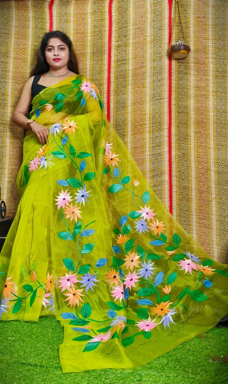 Hand Painted Multicolour Organza Saree, Bollywood Style Party Wear Indian Wedding Saree, Designer Organza Saree, Transparent Saree